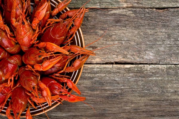 How to Tell If Crawfish Are Really Bad