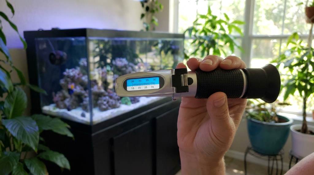 Saltwater mixing process for reef tank maintenance