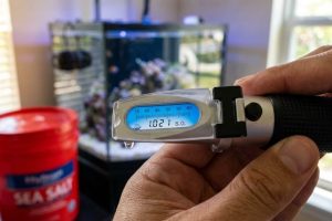 Tampa reef aquarium salinity testing with refractometer